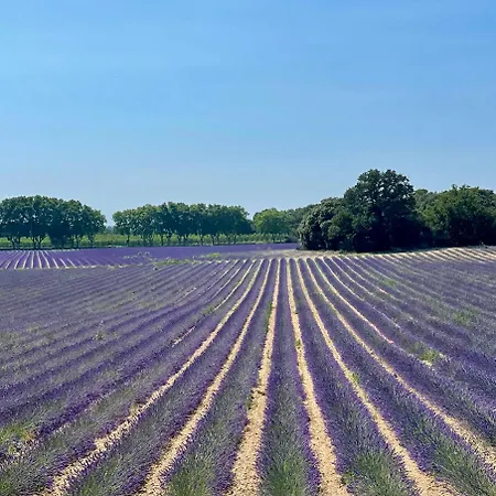 Domaine D'hestia Le Victoria *